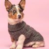 Black Wool Turtleneck Dog Sweater Model - PUCCI Cafe