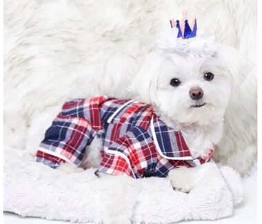 Blue Plaid Dog Pajamas Model - PUCCI Cafe