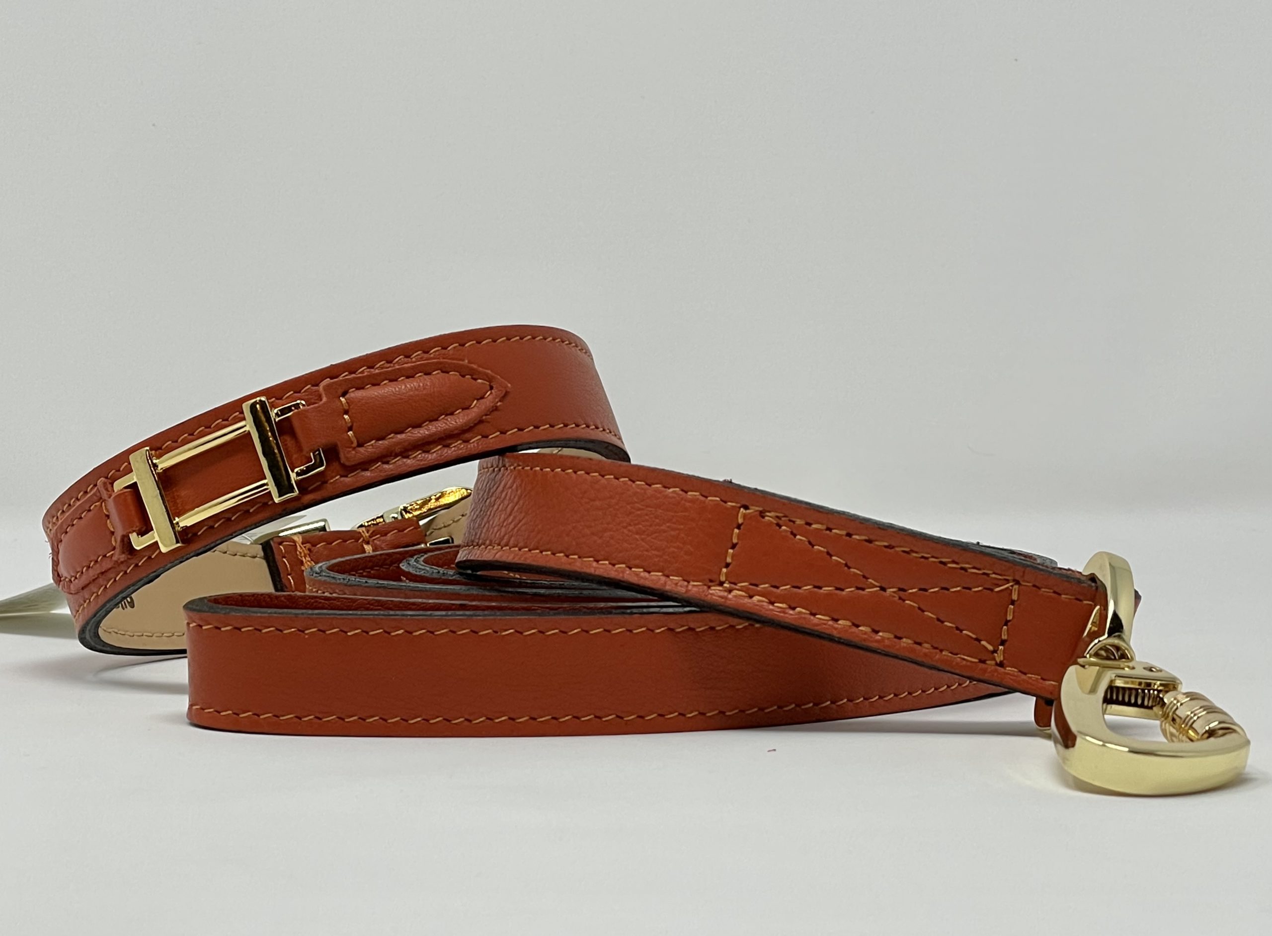 Hamilton Dog Collar & Leash in Arancione & Gold - PUCCI Cafe