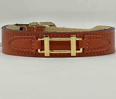 Hamilton Dog Collar in Arancione and Gold