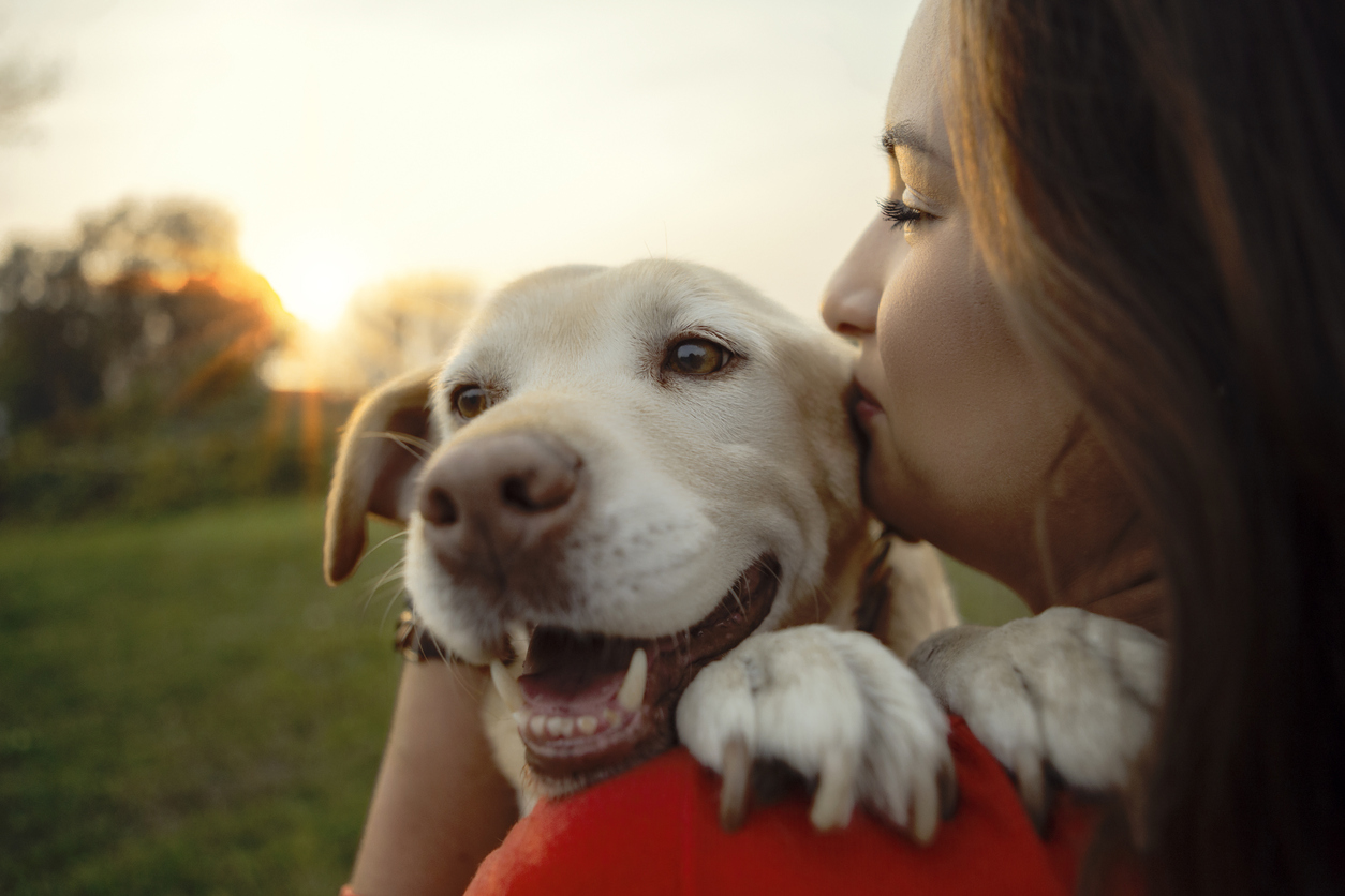 Dogs Contribute to Human Health and Happiness - PUCCI Cafe