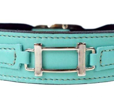 Hamilton Dog Collar in Turquoise & Nickel