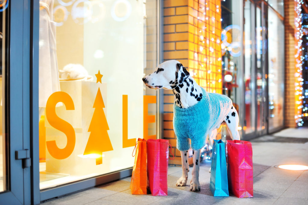 Boutique Dog Store Luxury Dog Store Luxury Dog Accessories Dogs