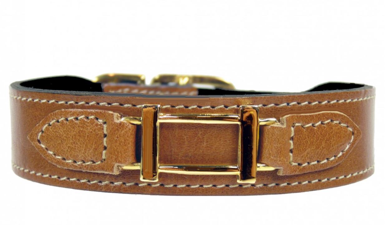 Hamilton in Natural & Gold Dog Collar - PUCCI Café