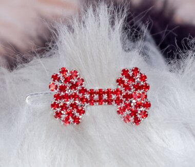 Crystal Bone Barrette Red - PUCCI Cafe