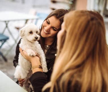 Socialize your Dog with Other Humans