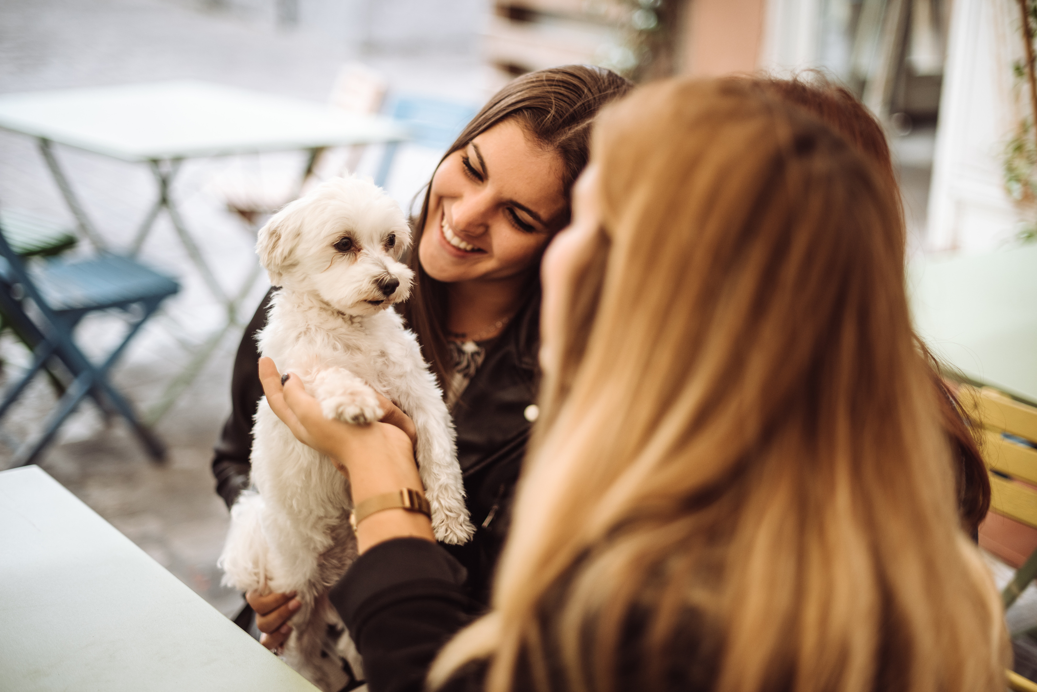 Socialize your Dog with Other Humans