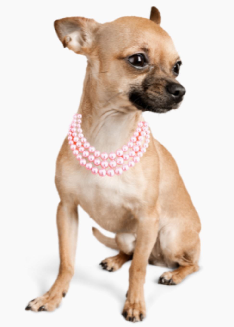 Multi-Strand Pink Pearl Dog Necklace