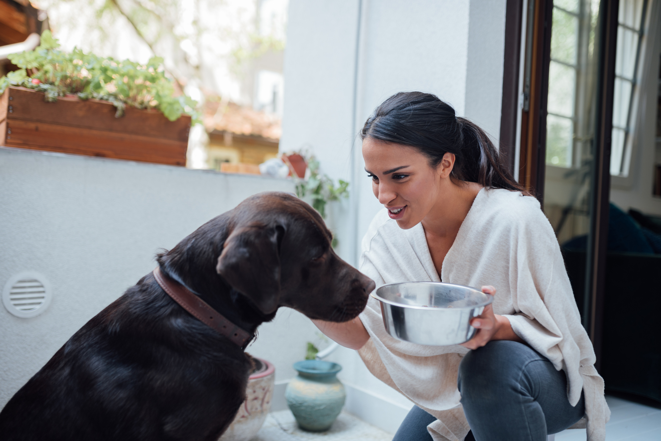 Create Dog Food at Home
