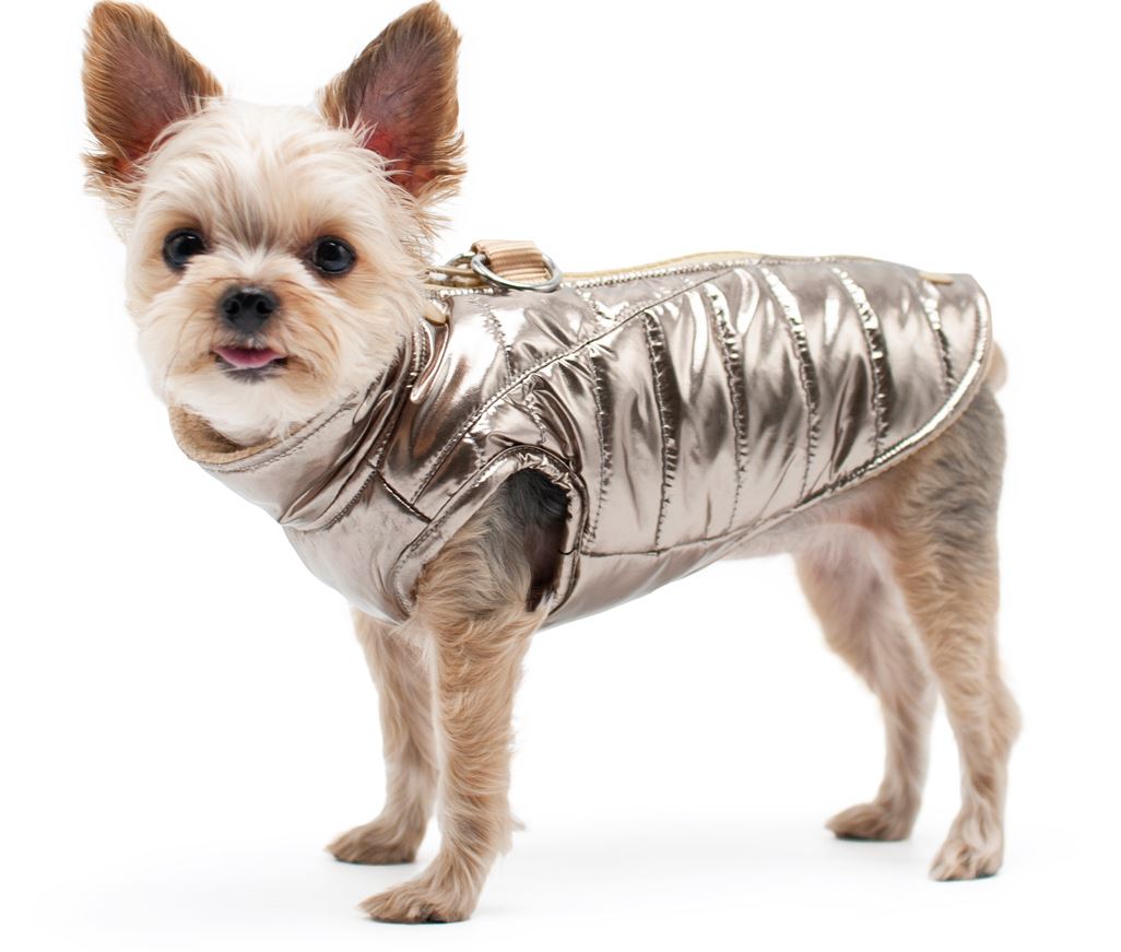 Metallic Runner Dog Coat