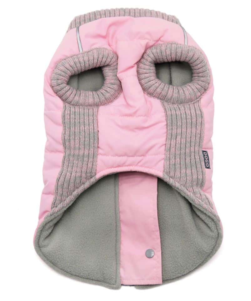 Runner Dog Coat Pink PUCCI Café
