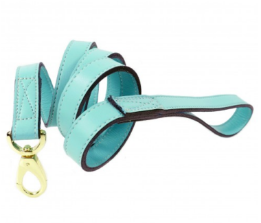 Daisy-Athena-Dog-Leash-Turquoise-Gold