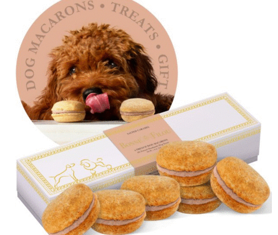 https://puccicafe.com/wp-content/uploads/2022/11/PUCCI-Cafe-Salted-Caramel-Macaron-Dog-Treats-550x465.gif