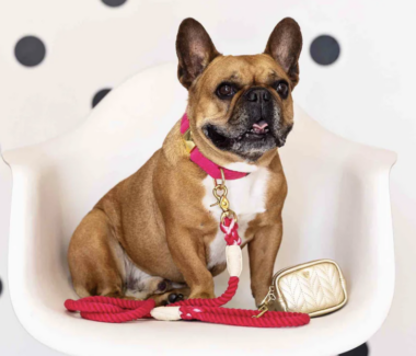 Karla Rope Dog Leash