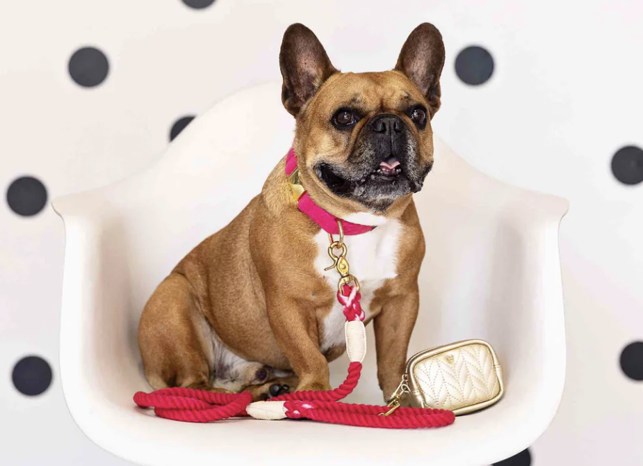 PUCCI Cafe Karla Rope Dog Leash