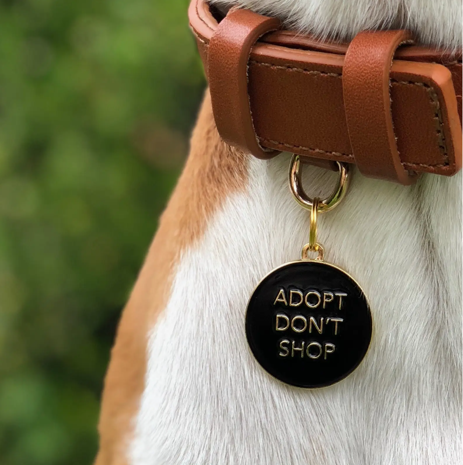 Adopt Don't Shop Dog Charm