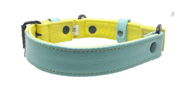 Baby Blue Lemon Leather Dog Collar 4