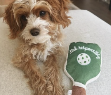 Green Stripe Pickleball Paddle Dog Toy