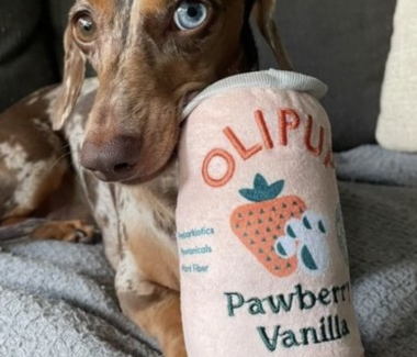 Olipup Pawberry Vanilla Dog Toy