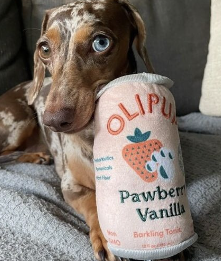 PUCCI Cafe Olipup Pawberry Vanilla Dog Toy 2