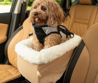 Dog Car Seats