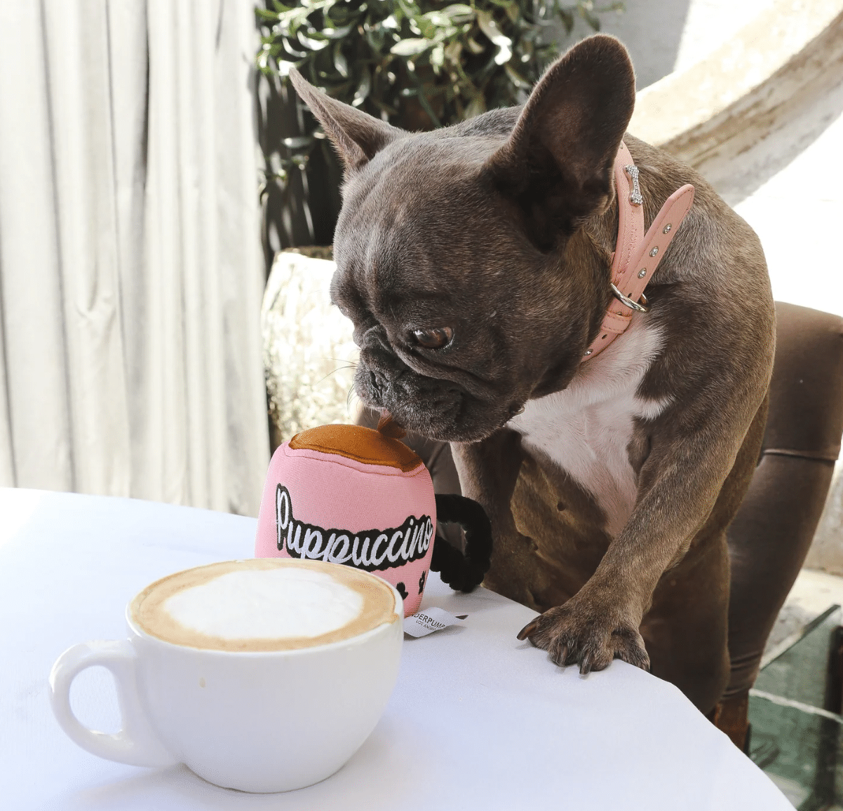 Puppuccino Dog Toy