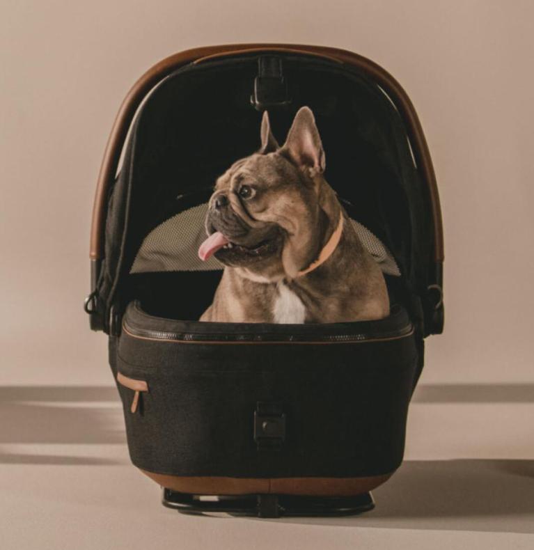 Tavo Pets Maeve Car Seat, Medium (Rigid Handle) Pet Carrier