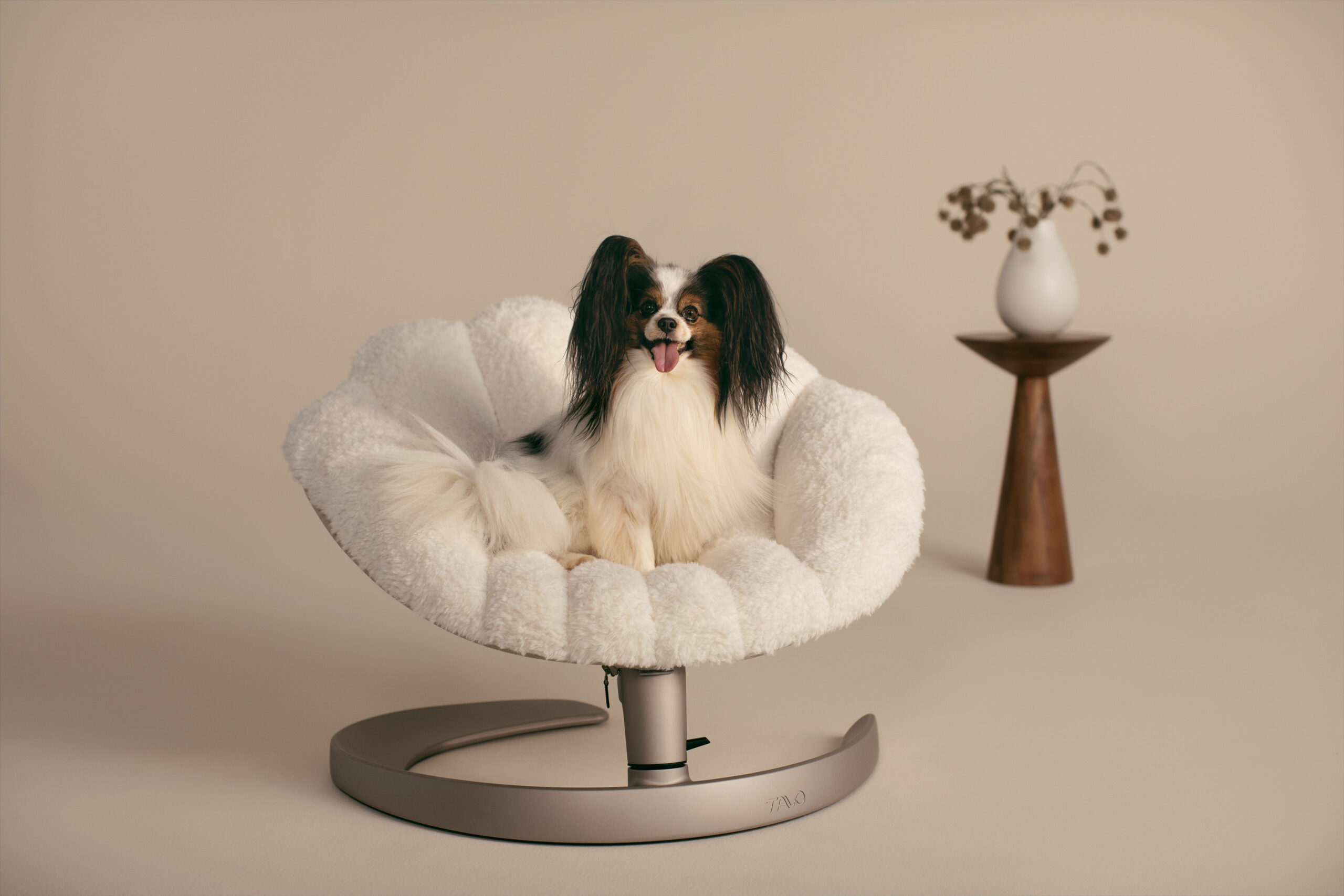 Tavo Shell Lifestyle