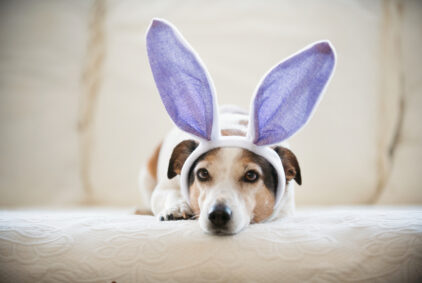 Closed on Easter Sunday