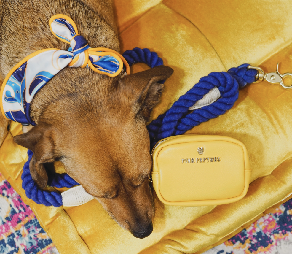 PUCCI Cafe Colie Bag Dispenser and Treat Pouch