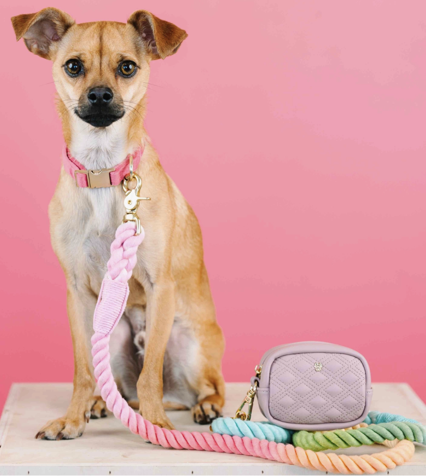 PUCCI Cafe Willow Bag Dispenser and Treat Pouch