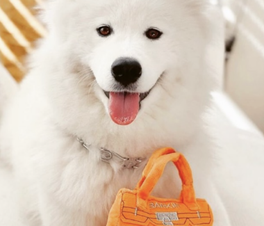 Barkin Bag Dog Toy
