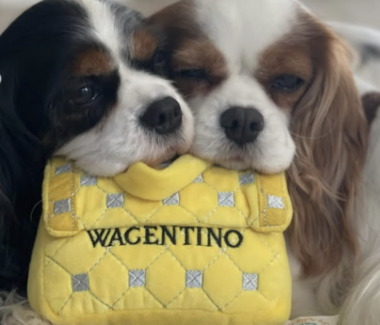 Wagentino Handbag Dog Toy