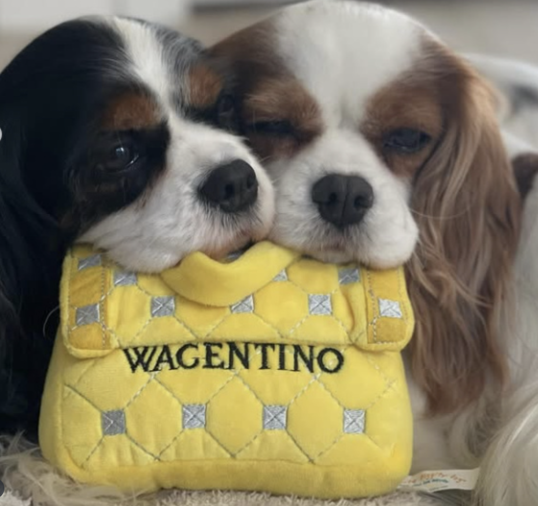 PUCCI Cafe Wagentino Handbag Dog Toy
