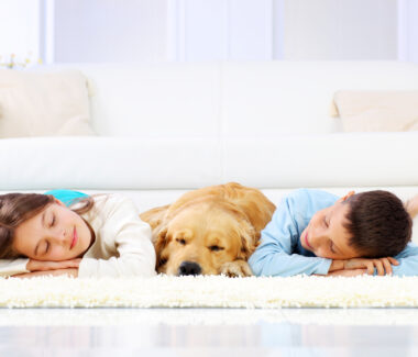Dogs and Children
