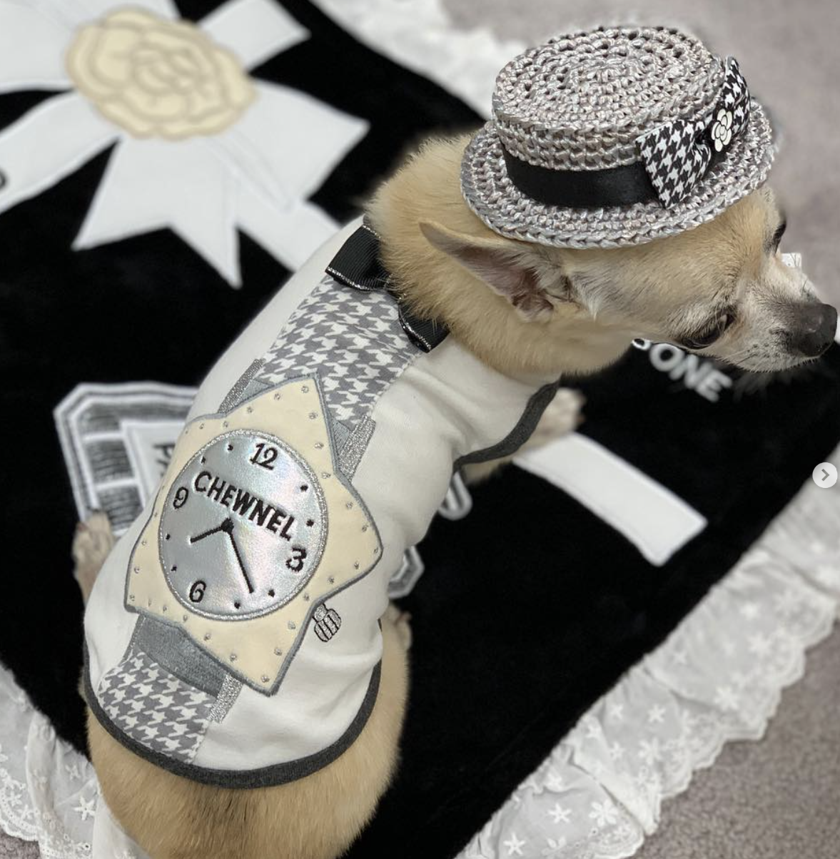 PUCCI Cafe Chewnel Starwatch Dog Tank