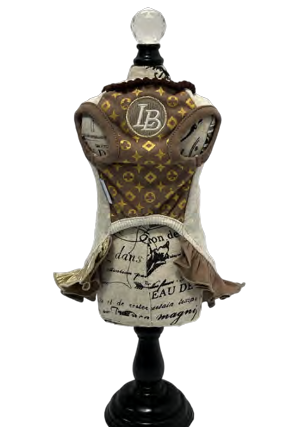 PUCCI Cafe Furry Vuiton Ice Cream Dog Dress 3