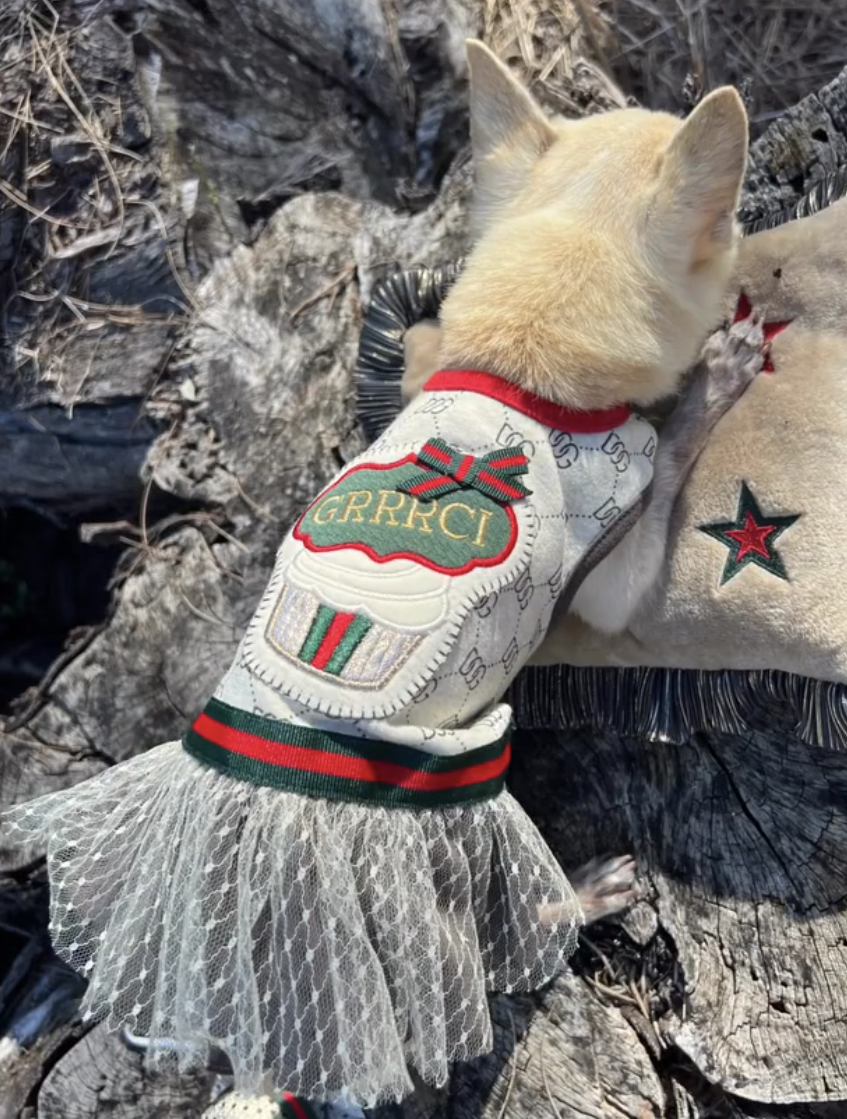 GRRRCI Cupcake Lace Dog Dress