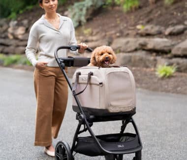 Hendrick Carrier - Person walking dog in stroller.