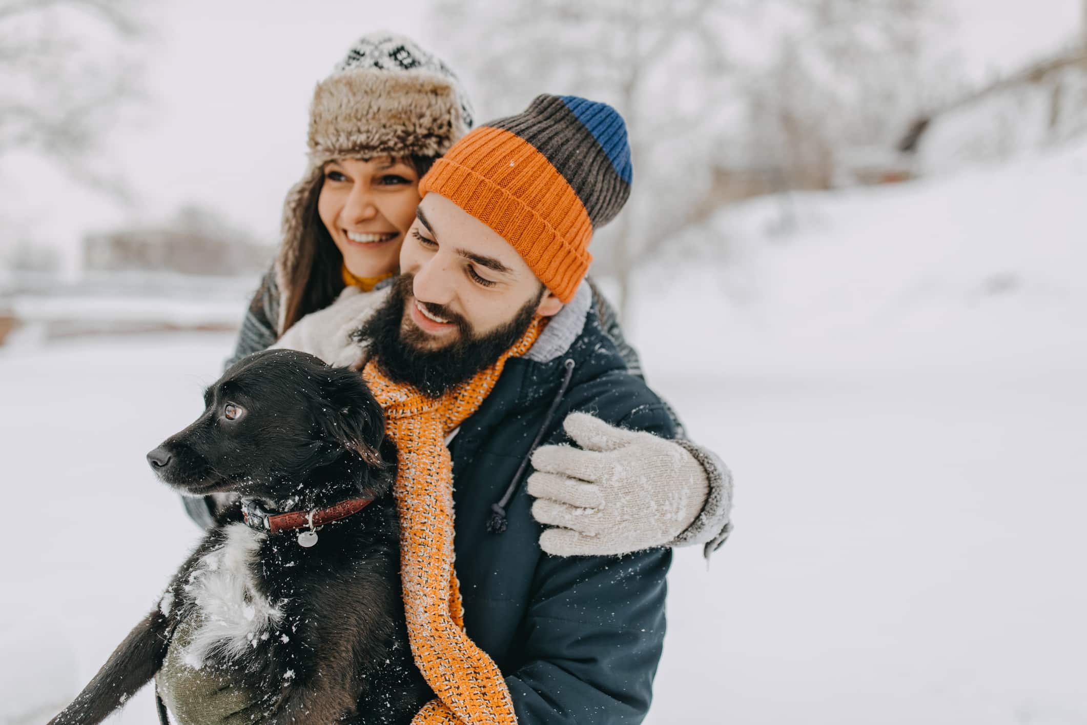 Winter Safety Tips for Dogs