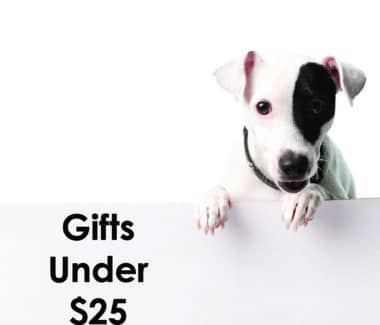 Gifts $25 and Under