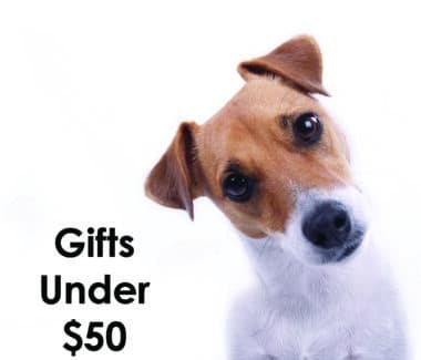 Gifts $50 and Under