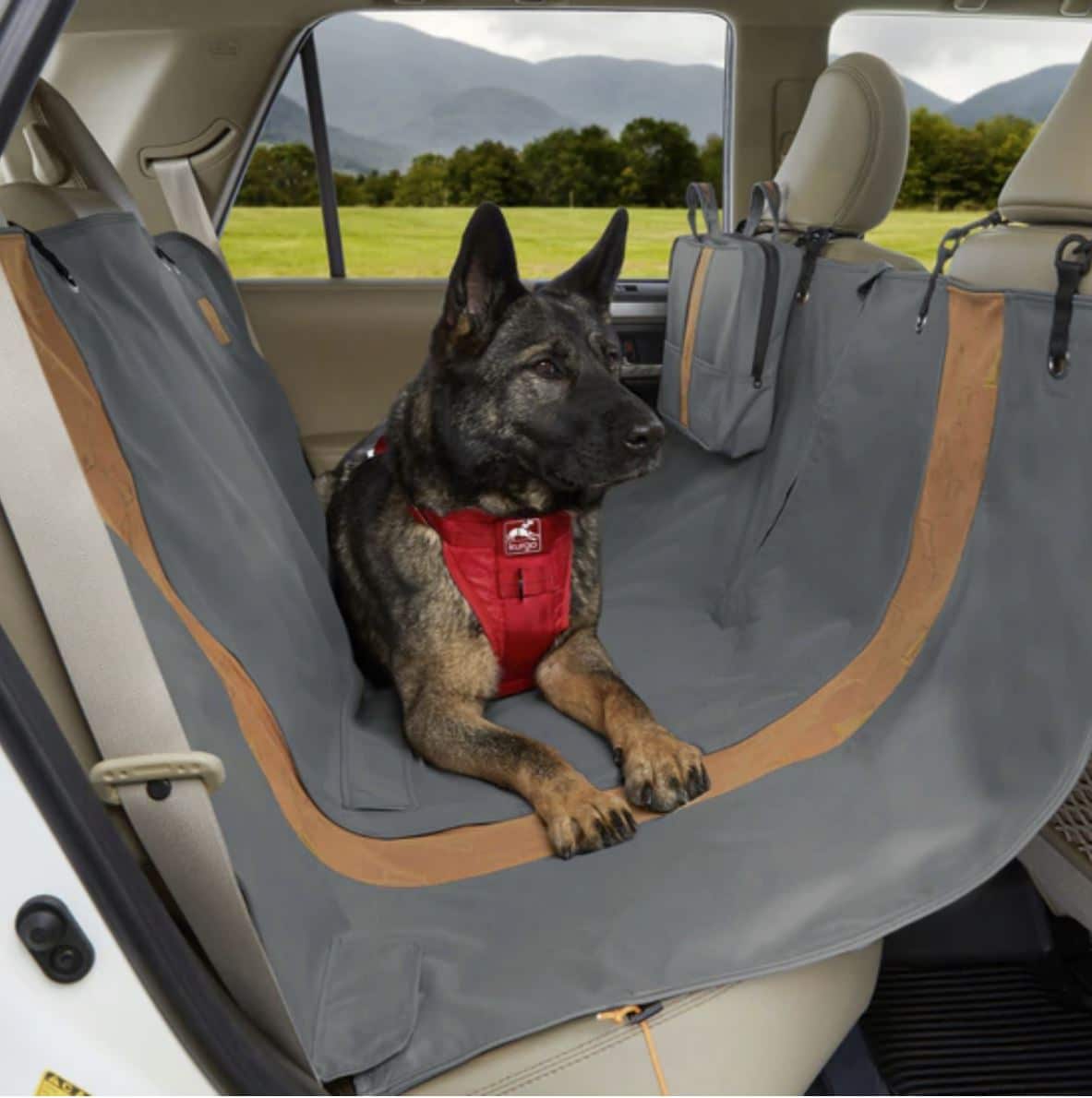 Wander Dog Hammock - Dog resting in car hammock
